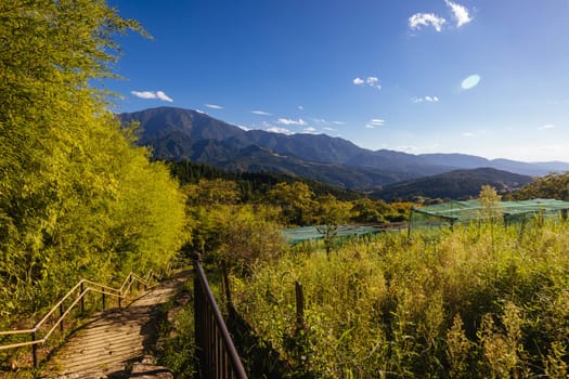 Hiking path landscape on the famous Magome-Tsumago Trail as part of the Nakasendo Way between Magome and Tsumago in Gifu Prefecture, Japan