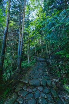 Hiking path landscape on the famous Magome-Tsumago Trail as part of the Nakasendo Way between Magome and Tsumago in Gifu Prefecture, Japan