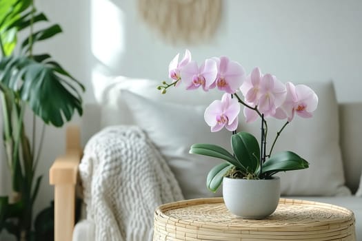A beautiful arrangement of pink orchids sits gracefully on a woven table in a bright, minimalist living room. Soft sunlight enhances the peaceful ambiance.