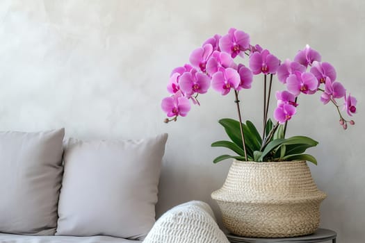A stylish arrangement of vibrant pink orchids sits in a woven basket on a table, complemented by plush beige pillows in a contemporary living space.