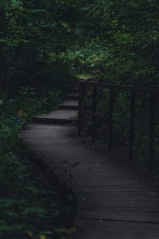 A wooden boardwalk winds through a lush, shaded forest, enveloped in greenery and creating a serene, peaceful pathway through dense vegetation in a natural setting
