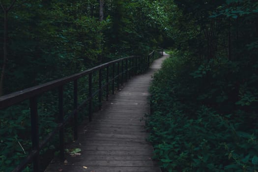 A wooden boardwalk winds through a lush, shaded forest, enveloped in greenery and creating a serene, peaceful pathway through dense vegetation in a natural setting