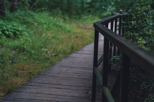 A wooden boardwalk winds through a lush, shaded forest, enveloped in greenery and creating a serene, peaceful pathway through dense vegetation in a natural setting