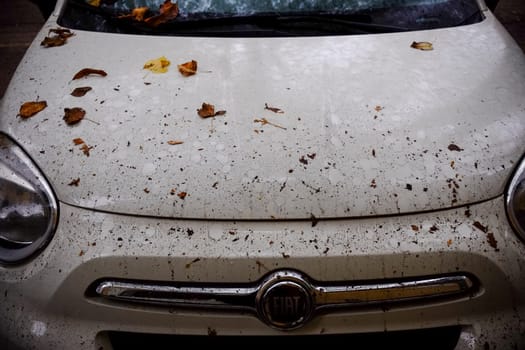 Cremona, Lombardy, Italy - November 7th 2024 Close-up of a dirty white fiat car's hood showing splattered mud and dry leaves, highlighting poor car maintenance during fall