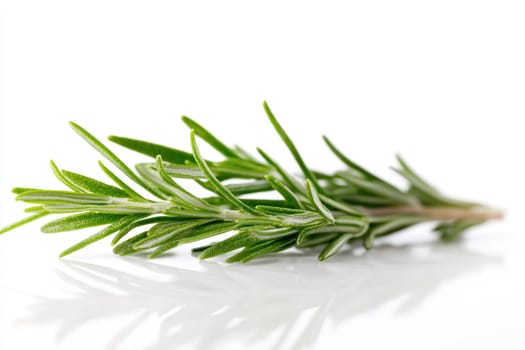 A fresh sprig of rosemary lies on a clean, reflective surface, highlighting its vibrant green leaves and fine texture illuminated by natural light, perfect for culinary use.