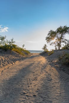 A sandy path bordered by vegetation, leading toward the beach under a clear sky. Sunlight filters through trees, creating a serene and inviting entrance to the shoreline