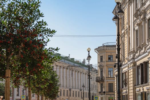 A picturesque street lined with historic buildings featuring classical architecture, under a clear sky. A rowan tree with red berries adds a touch of nature to the urban scen