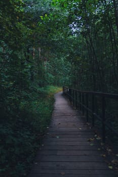 A wooden boardwalk winds through a lush, shaded forest, enveloped in greenery and creating a serene, peaceful pathway through dense vegetation in a natural setting