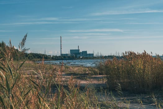 An industrial power plant stands near a beach, with coastal vegetation in the foreground, highlighting the contrast between nature and industry in a scenic coastal landscape under a clear blue sky