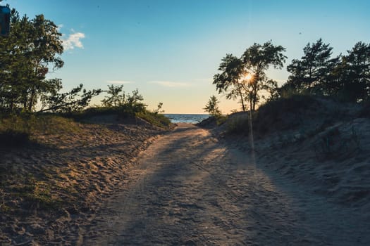 A sandy path bordered by vegetation, leading toward the beach under a clear sky. Sunlight filters through trees, creating a serene and inviting entrance to the shoreline