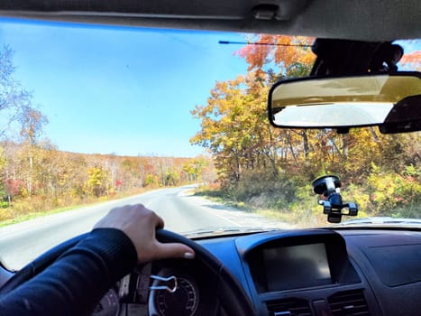 Car salon, windshield, hand of woman on steering wheel and landscape. View from seat of driver on nature at sunny day. Single trip of female traveler