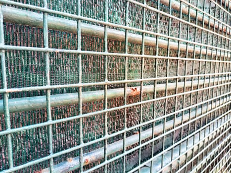 A close-up view of a metal grid fence showing horizontal bars and mesh elements.