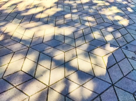 Sunlight casts intricate shadow patterns on textured pavement in a bright setting.