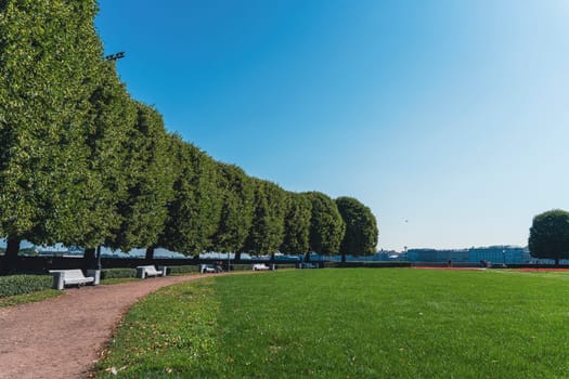 A spacious park with a row of trimmed trees casting shade over benches along a pathway. Expansive green lawn and clear blue sky create a calm, inviting outdoor atmosphere