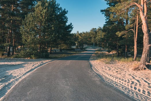 A paved path winding through a forested park with tall trees and grassy areas, illuminated by soft evening sunlight. Peaceful outdoor setting ideal for walking and relaxation