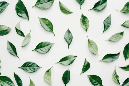 A variety of green leaves are scattered on a clean white surface, highlighting their unique shapes and textures, creating an organic aesthetic.