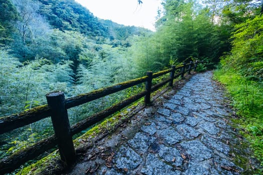 Hiking path landscape on the famous Magome-Tsumago Trail as part of the Nakasendo Way between Magome and Tsumago in Gifu Prefecture, Japan