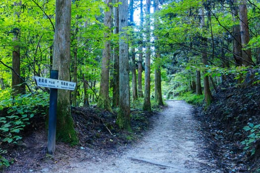 Hiking path landscape on the famous Magome-Tsumago Trail as part of the Nakasendo Way between Magome and Tsumago in Gifu Prefecture, Japan