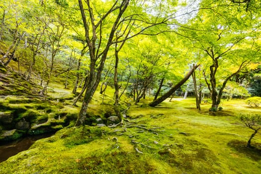 The stunning architecture and gardens at Silver Pavillion Ginkakuji temple in Kyoto, Japan