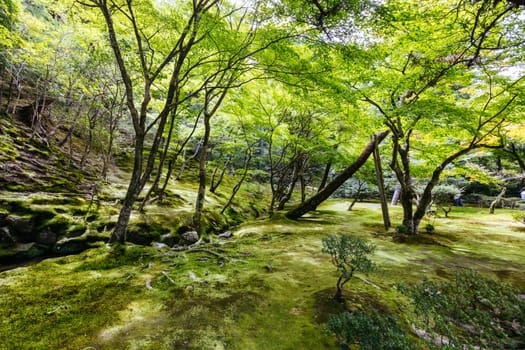 The stunning architecture and gardens at Silver Pavillion Ginkakuji temple in Kyoto, Japan