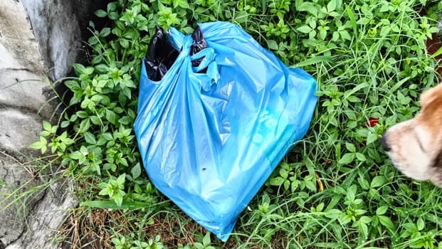 A blue trash bag is abandoned in a patch of overgrown grass beside a concrete wall. Symbolizes environmental neglect and urban waste issues.