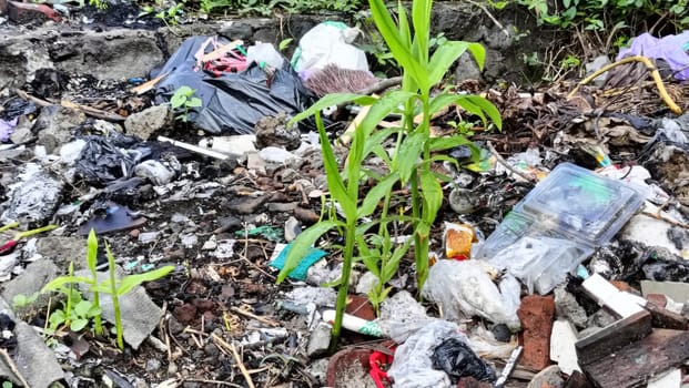 Image showcasing discarded waste, including plastics and paper, in a natural setting. Highlights the environmental impact and challenges of pollution. Emphasizes the need for proper waste management.