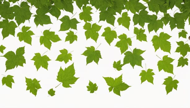 A white background with many green leaves falling down in different sizes and positions.