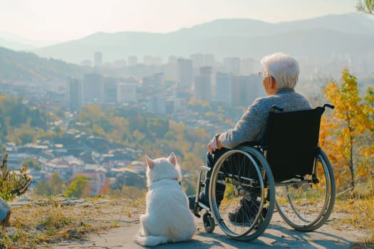 An elderly person in a wheelchair enjoys a peaceful moment with a dog, overlooking a beautiful urban landscape framed by mountains and autumn foliage.