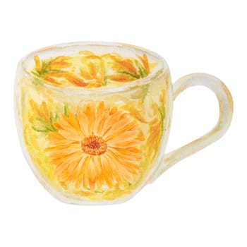 Herbal tea. Orange calendula officinalis watercolor hand drawn illustration. Sunny ruddles flower with yellow petals and green leaves for natural herbal medicine, healthy tea, cosmetics and homeopatic remedies. Marigold botanical clip art good as an element for packaging design, labels, eco goods, textile, invitations
