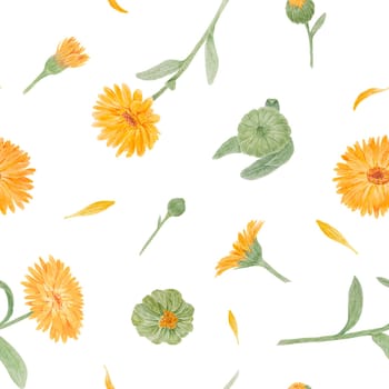 Orange calendula officinalis. Watercolor hand drawn illustration. Sunny ruddles flower with yellow petals and green leaves for natural herbal medicine, healthy tea, cosmetics and homeopatic remedies. Marigold botanical clipart good as an element for packaging design, labels, eco goods, textile, invitations