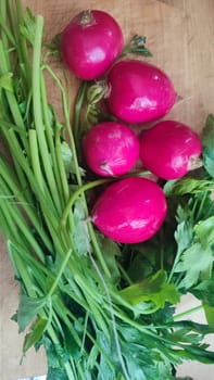 pink fresh radish and parsley, vegetables for salad food. High quality photo