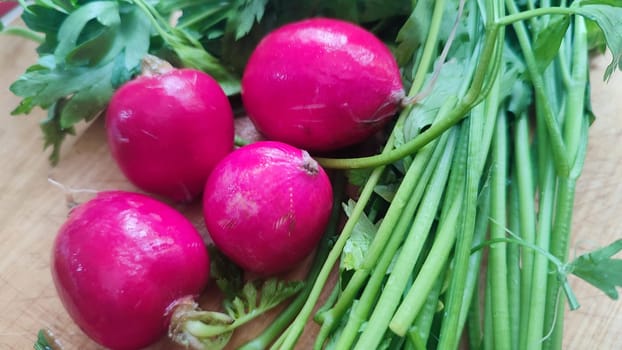 pink fresh radish and parsley, vegetables for salad food. High quality photo