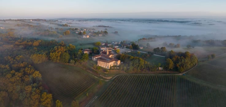 Aerial view of vineyard under fog, Rions, Gironde, France. High quality photo