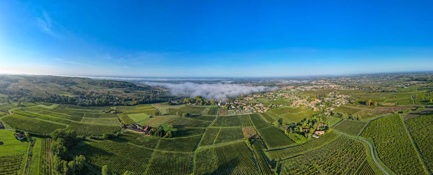 FRANCE, GIRONDE, LOUPIAC, AERIAL VIEW LOUPIAC VILLAGE AND ITS VINEYARD, AOC CADILLAC COTES DE BORDEAUX, SAUTERNES, BORDEAUX VINEYARD, HIGHT QUALITY PHOTO