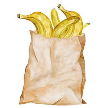 Bananas watercolor. Hand drawn ripe tropical fruit in paper bag. Clip art isolated on white background realistic exotic plant. Ideal for posters, health food stores and product cards