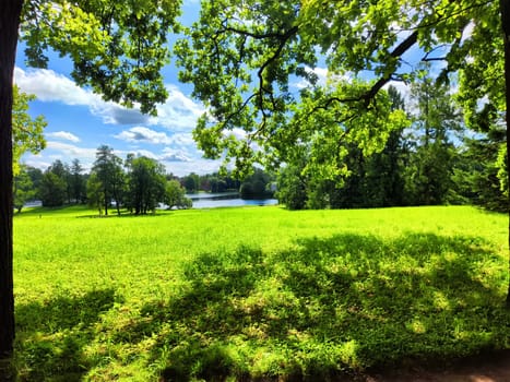 The park features tall trees and vibrant green grass, creating a tranquil atmosphere on a sunny summer day