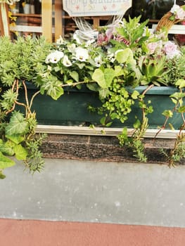 A vibrant window planter displays an array of colorful flowers and lush greenery, providing a cheerful and welcoming touch to the rustic building in sunlight.