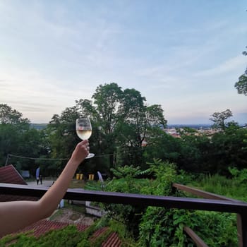 A person raises a glass of white wine, celebrating an evening as the sun sets over the horizon, surrounded by trees and a picturesque landscape.