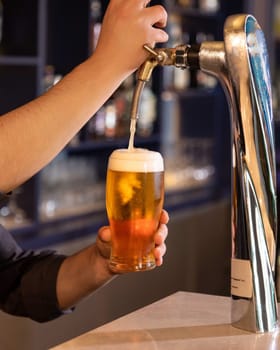 Bartender is pouring a cold beer from a tap in a glass at a pub