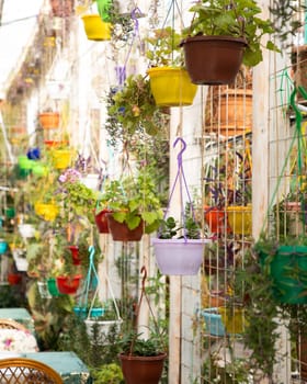 Colorful flower pots are hanging in a garden center, creating a vibrant and cheerful atmosphere