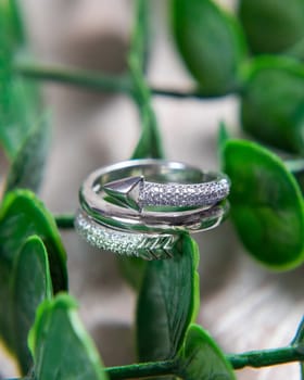 Silver ring with an arrow design resting on a bed of green leaves