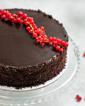 Delicious chocolate cake with chocolate icing being topped with fresh red currants