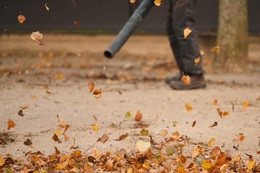 Man cleaning the park with a leaf blower