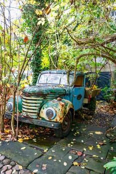 A vintage rusty truck sits abandoned, from the time of world war two,enveloped by lush greenery and vines, creating a picturesque scene of nature reclaiming man-made objects.