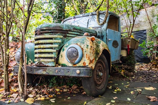 A vintage rusty truck sits abandoned, from the time of world war two,enveloped by lush greenery and vines, creating a picturesque scene of nature reclaiming man-made objects.