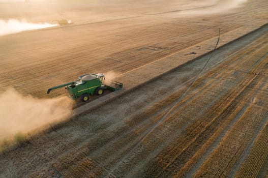 A green combine harvester is driving through a field of grain. The sky is orange and the sun is low in the sky