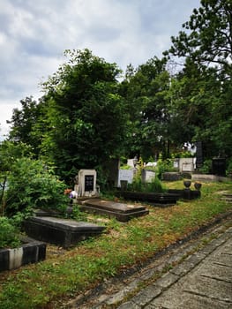 The cemetery features various gravestones, some overgrown with grass and plants, under a moody, cloudy sky, creating a serene and reflective atmosphere.