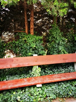 A wooden bench sits peacefully amidst dense green foliage, providing a serene spot for relaxation in the tranquil park during a sunny afternoon.