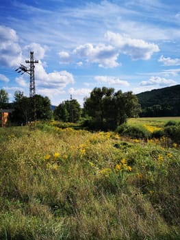 Wildflowers bloom in a grassy area under a bright sky filled with fluffy clouds. Power lines stretch across the scene with rolling hills in the background.
