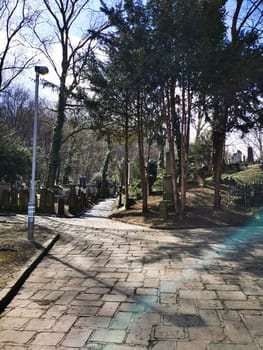 A serene pathway winds through a historical cemetery, flanked by mature trees and headstones, inviting quiet reflection on a sunny afternoon.